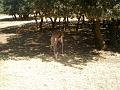 2005-08 La BArben 059